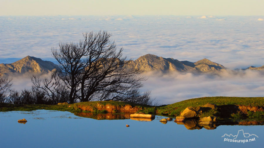 Foto: Sierras Costeras, Braña de los Tejos, La Liebana, Cantabria