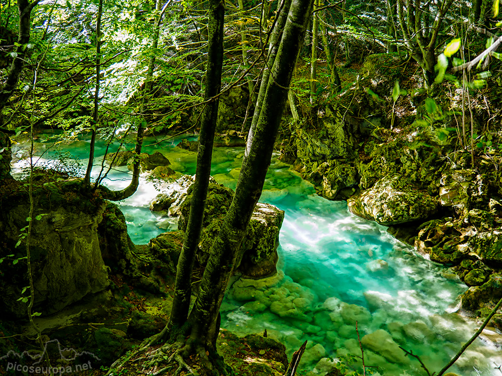 Foto: Un rincón del Río Urederra, un río de aguas color turquesa. Parque Natural de Urbasa, Navarra.