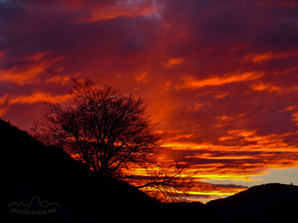 Foto: Puesta de sol desde la carretera de subida a los Lagos de Covadonga, Asturias, Picos de Europa