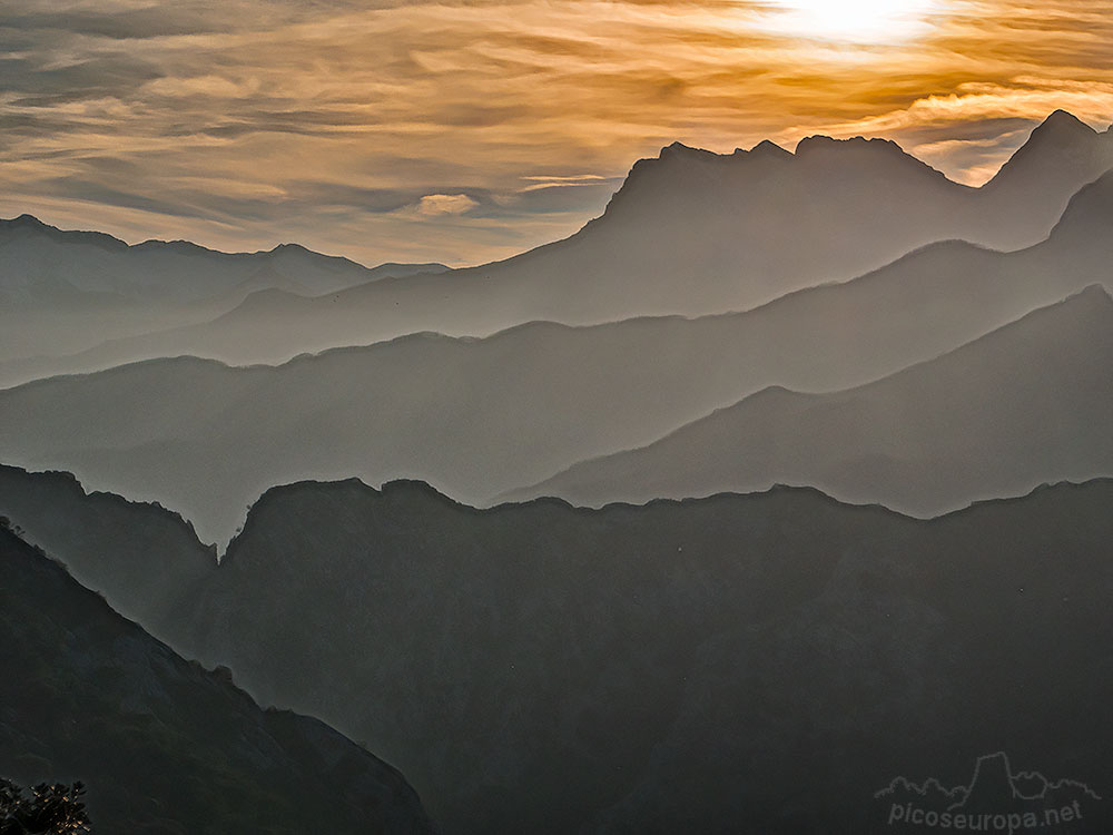 Foto: Parque Nacional de Picos de Europa