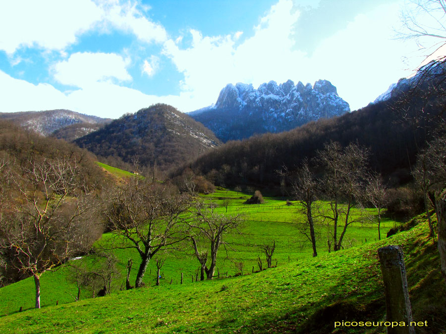 Foto: Pico de Diego desde la pista que sale de Barago hacia el Collado de Castro, La Liebana, Cantabria