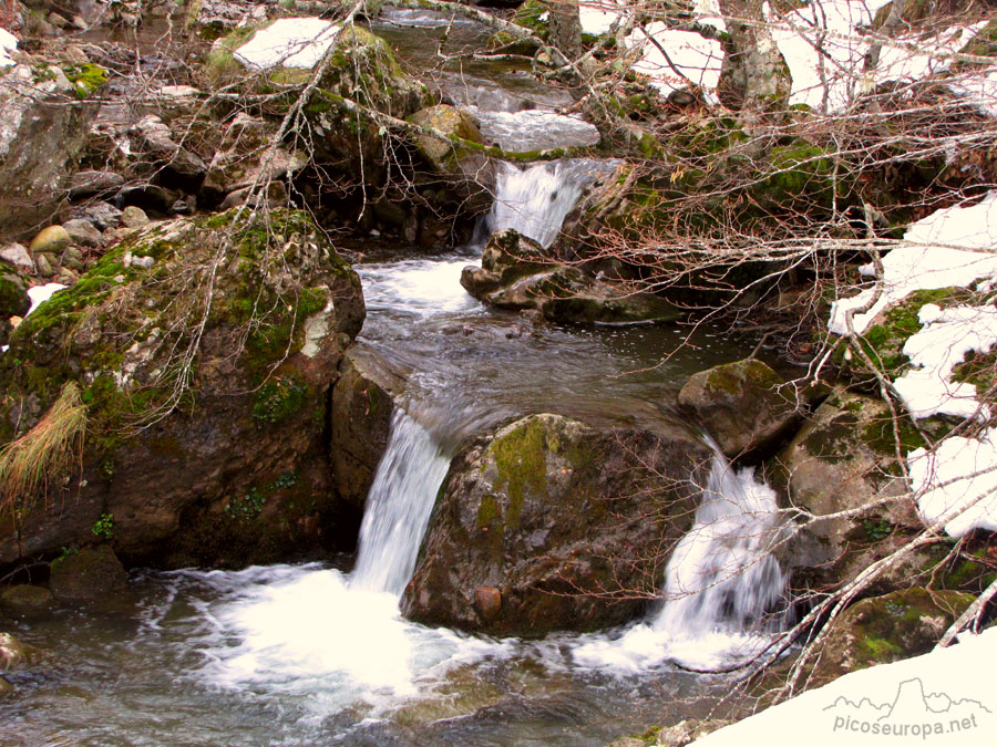 Valle del rio Requejada, Cucayo, La Liebana, Cantabria