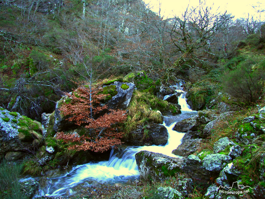 Valle del rio Requejada, Cucayo, La Liebana, Cantabria