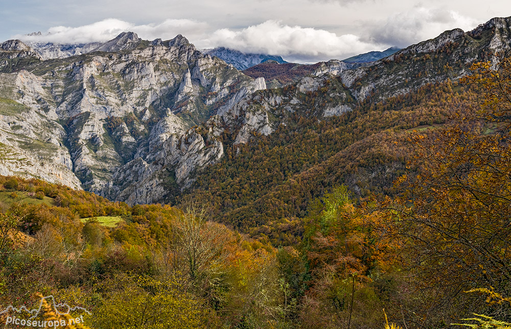 Foto: Otoño en la zona del Mirador de Las Bedules, Parque Natural de Ponga, Asturias