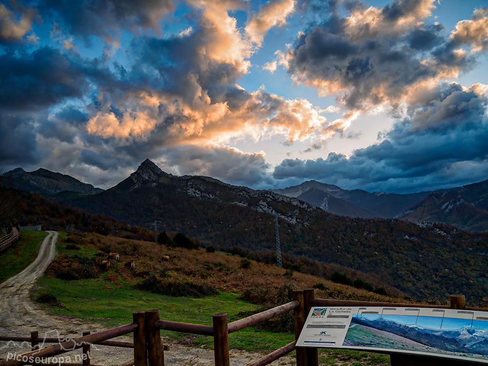 Foto: Mirador de Las Bedules, Parque Natural del Ponga, Asturias