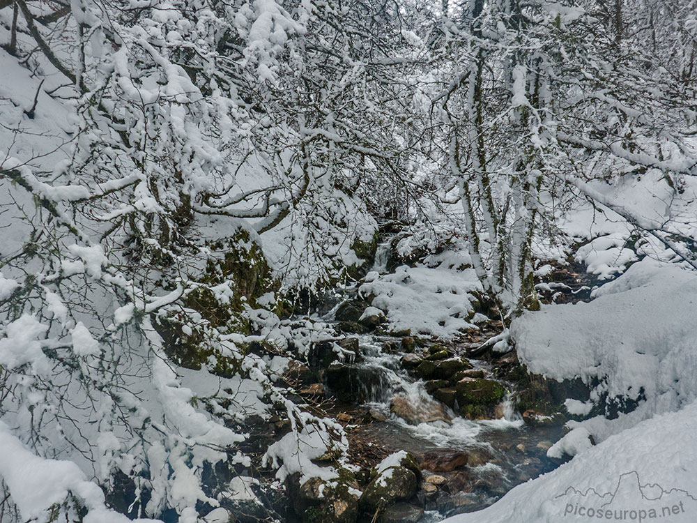Foto: el río que recorre el valle que vamos a seguir hasta la Majada de Pozua, unos metros por encima de la Fuente del Infierno en invierno