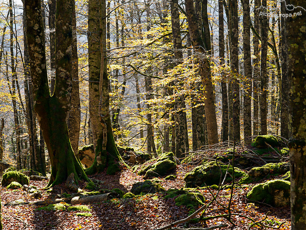 Parque Natural de Urbasa y Andia, Navarra