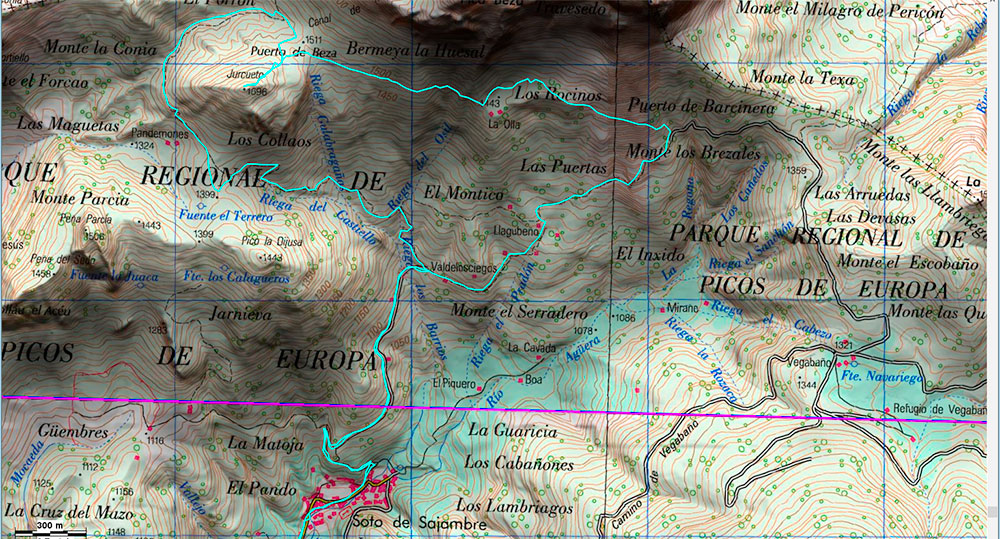 Soto de Sajambre, bosque Los Rocinos, León, Picos de Europa
